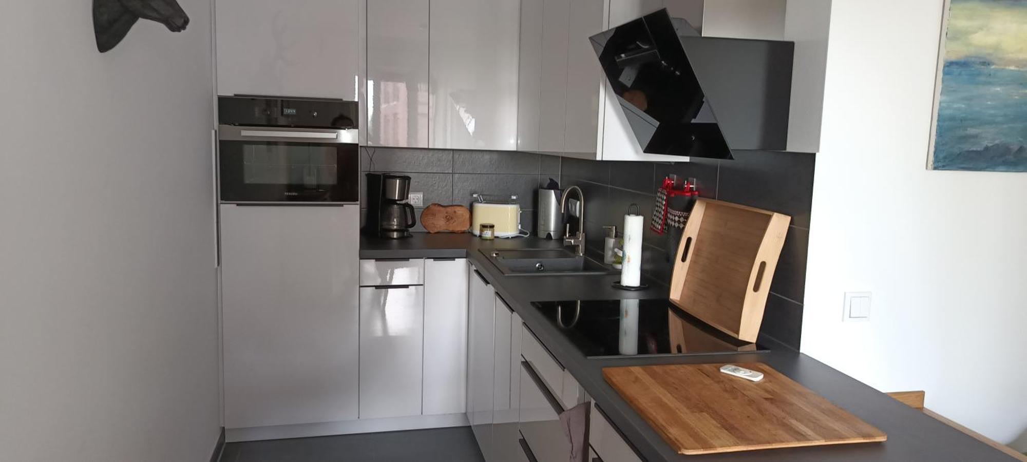 Wunderschoene Direkt An Der Elbe, Alt-und Neustadtnaehe Appartement *